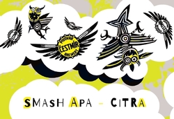 Smash APA 12 - Citra 0,75l